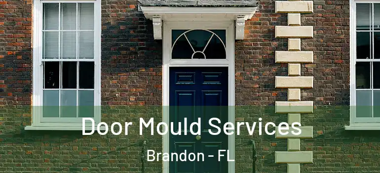  Door Mould Services Brandon - FL