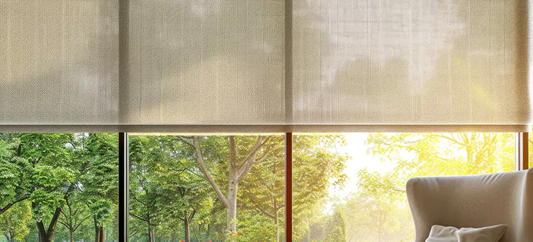 Custom Window Shades in Brandon, FL
