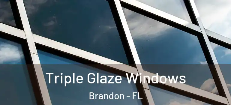  Triple Glaze Windows Brandon - FL