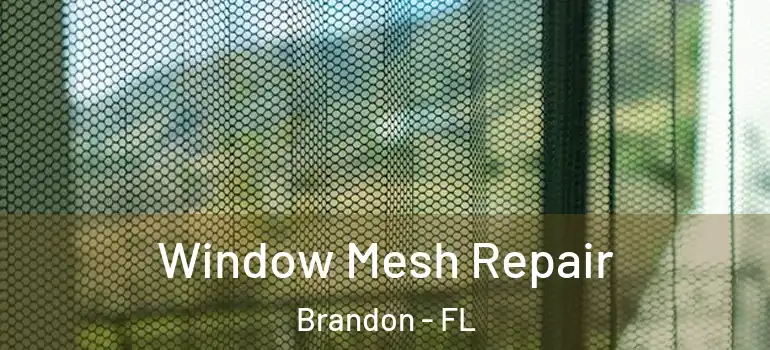  Window Mesh Repair Brandon - FL