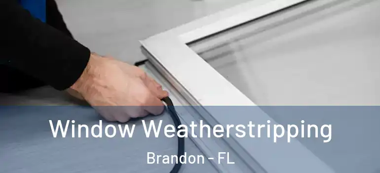  Window Weatherstripping Brandon - FL